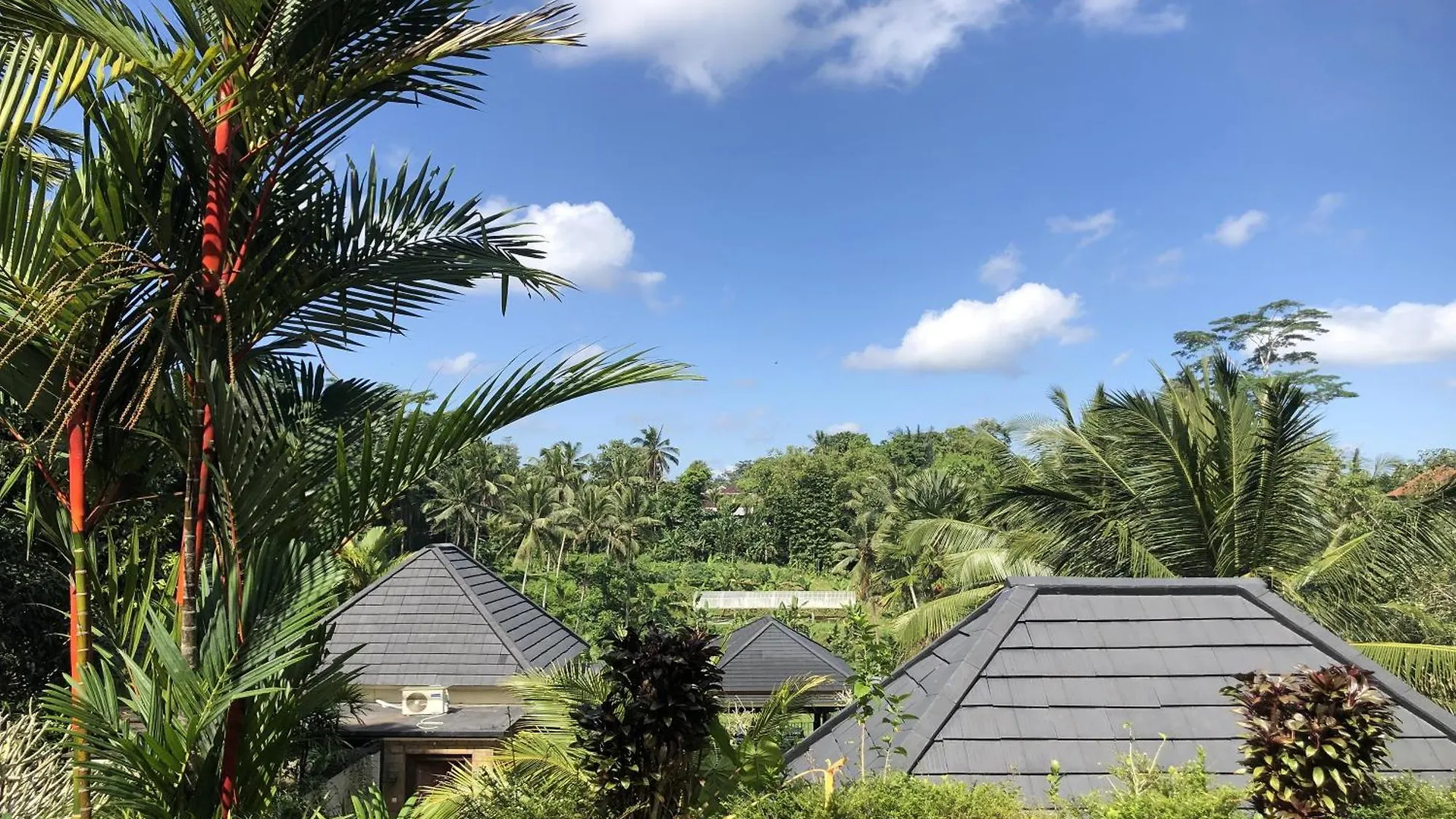 Kelusa Resort Ubud  0*, Ubud (Bali)