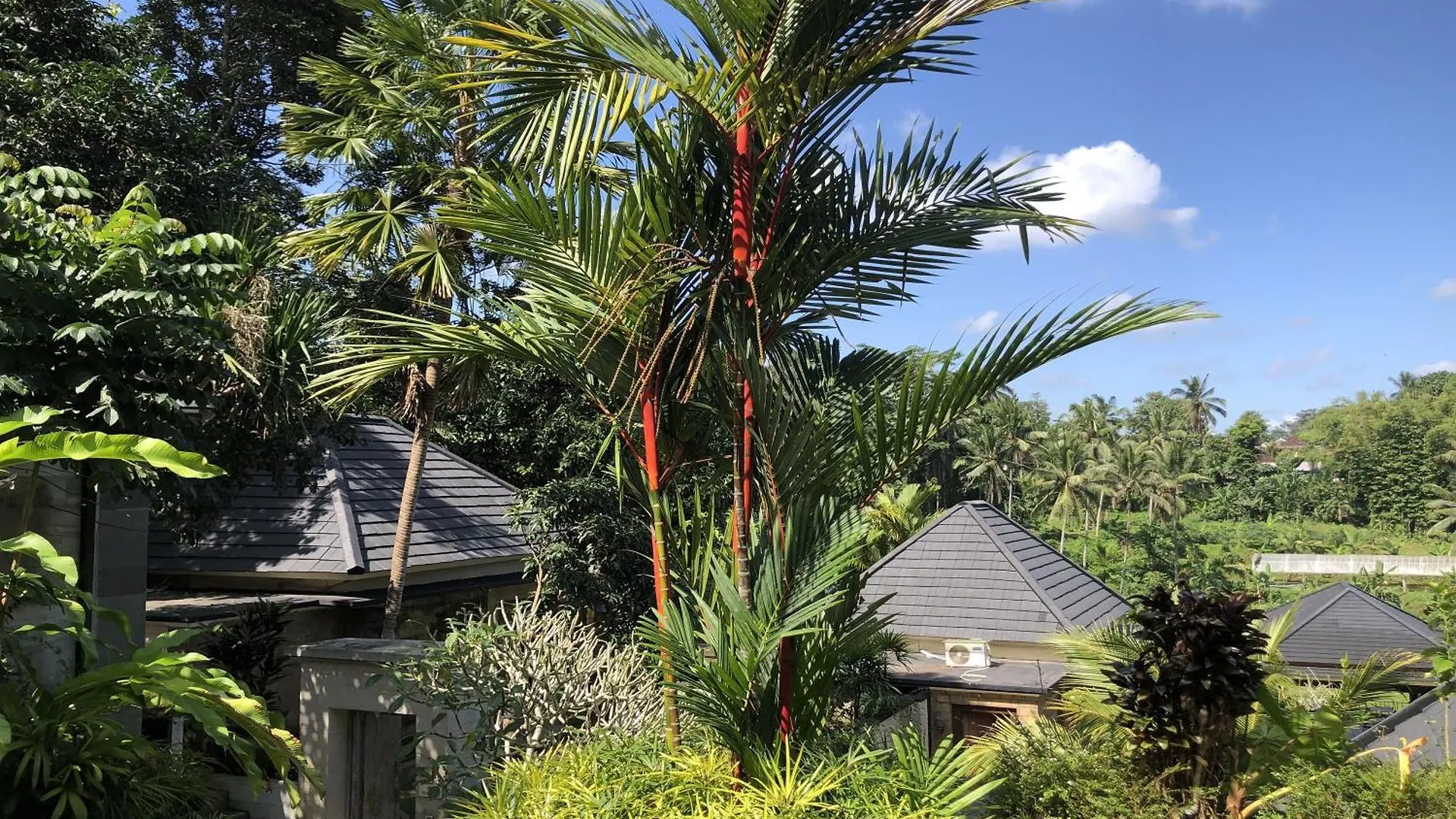 Kelusa Resort Ubud  0*, Ubud (Bali) Indonesia