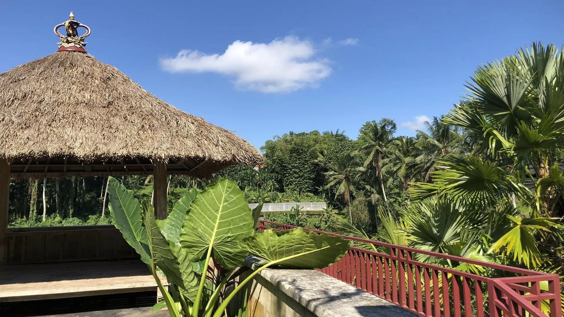 Kelusa Resort Ubud  Indonesia