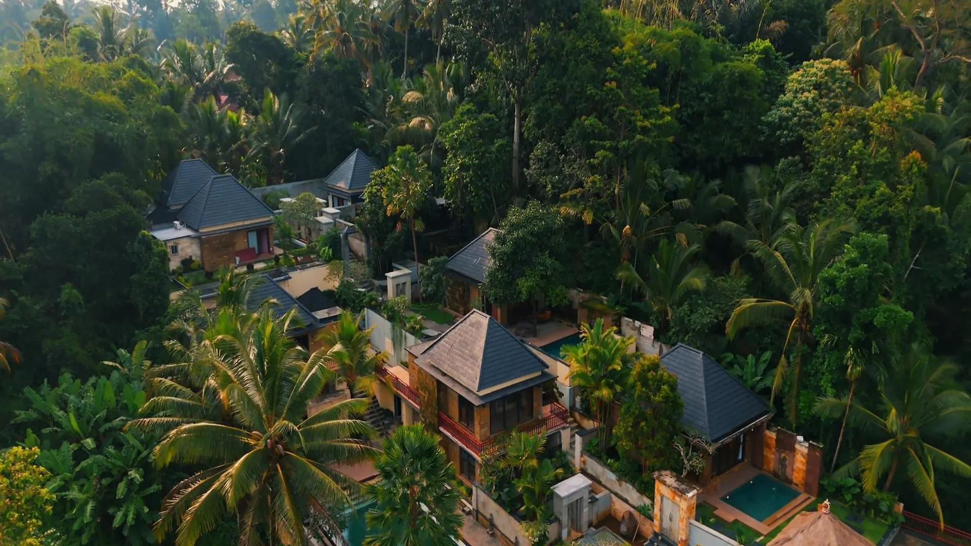 Kelusa Resort Ubud  Indonesia